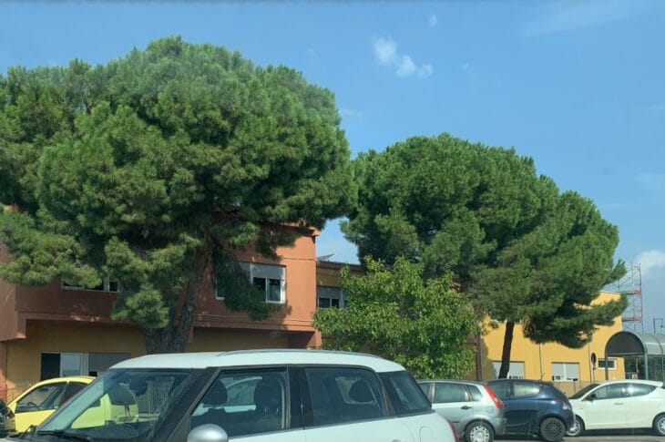Ingresso Secondaria Scanzano